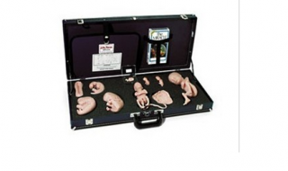 WA15715U 胚胎發(fā)育示教教程(模型、音像帶)-胚胎發(fā)育-WA15715U -上海亨隆科教設(shè)備