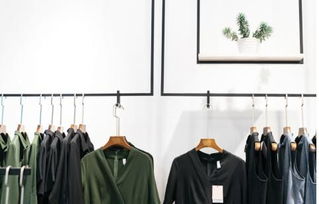 時(shí)尚寵兒杰夫尼 零庫(kù)存模式引領(lǐng)高利潤(rùn)開店新潮流